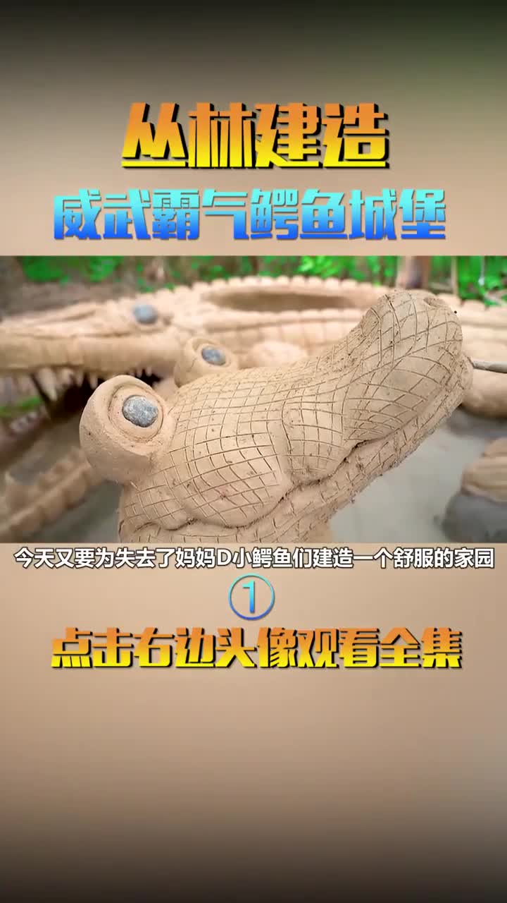 ,救助了小狗小猫,今天竟然救助了小鳄鱼!