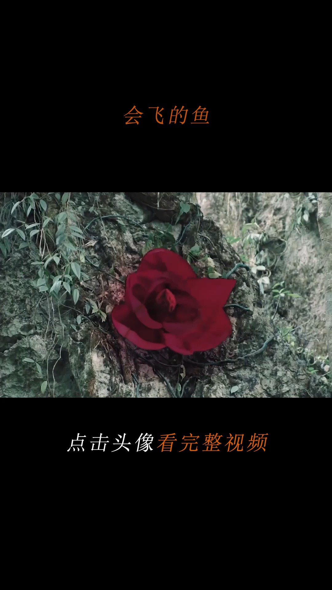 #精彩影视#会飞的鱼,大蛇