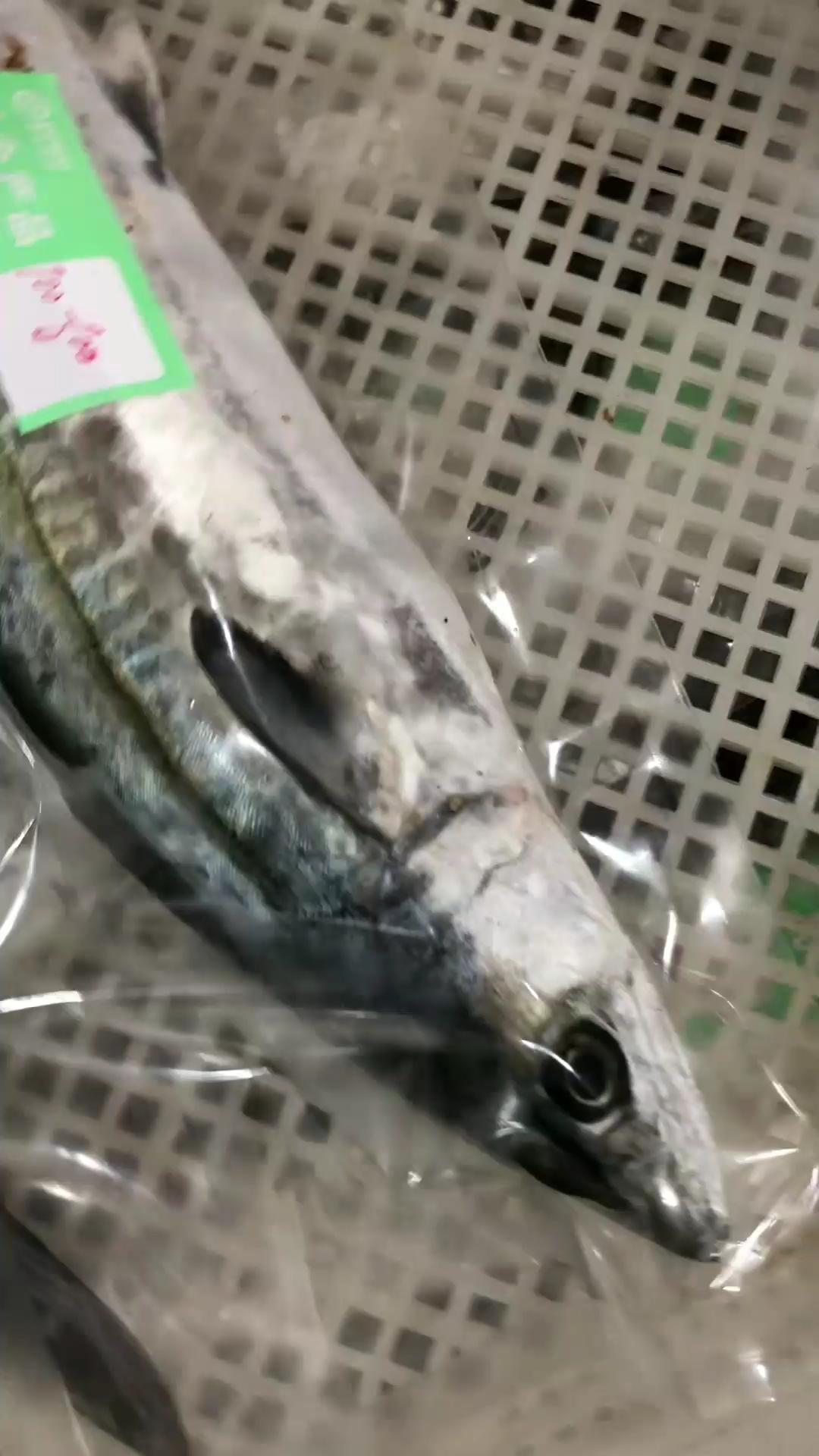 马鲛鱼肉质紧实,用来红烧,香煎或做马鲛鱼丸子