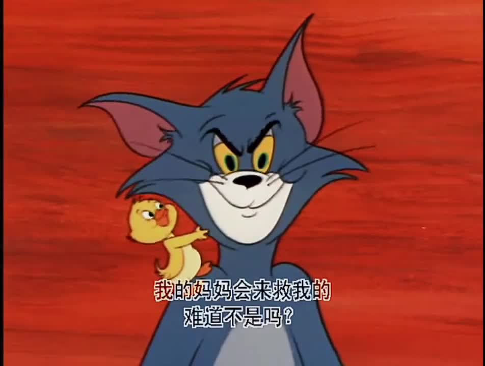 #猫和老鼠#汤姆的微表情