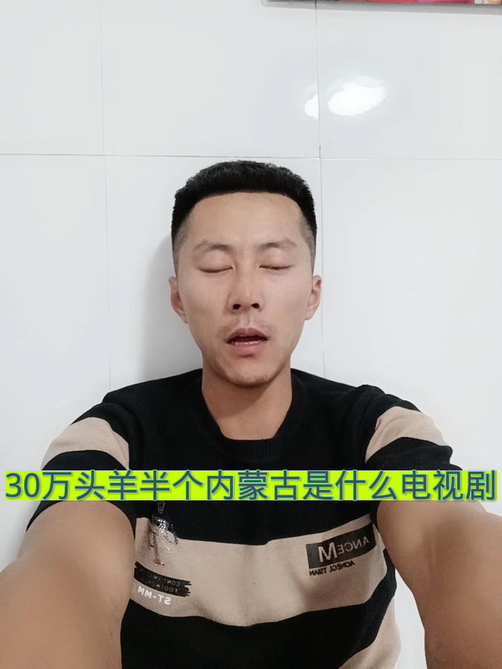 30万头羊半个内蒙古是什么电视剧