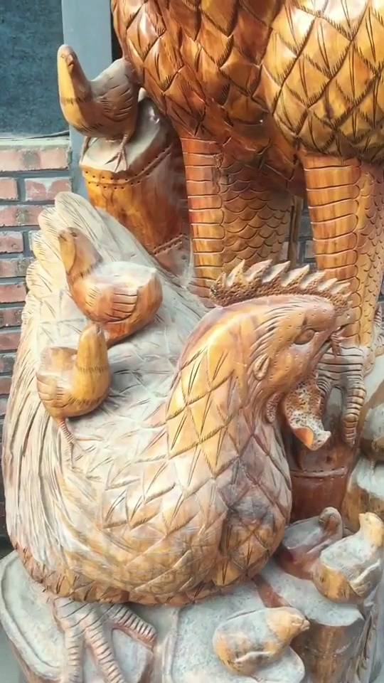 大公鸡,真神气