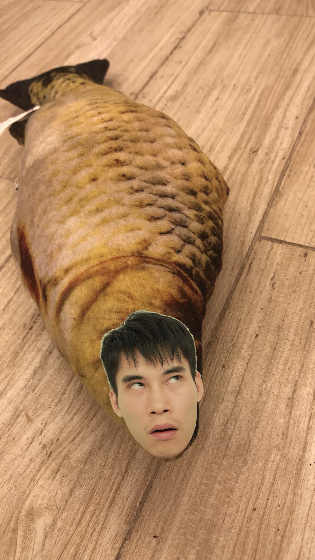 我是一条咸鱼,别动我