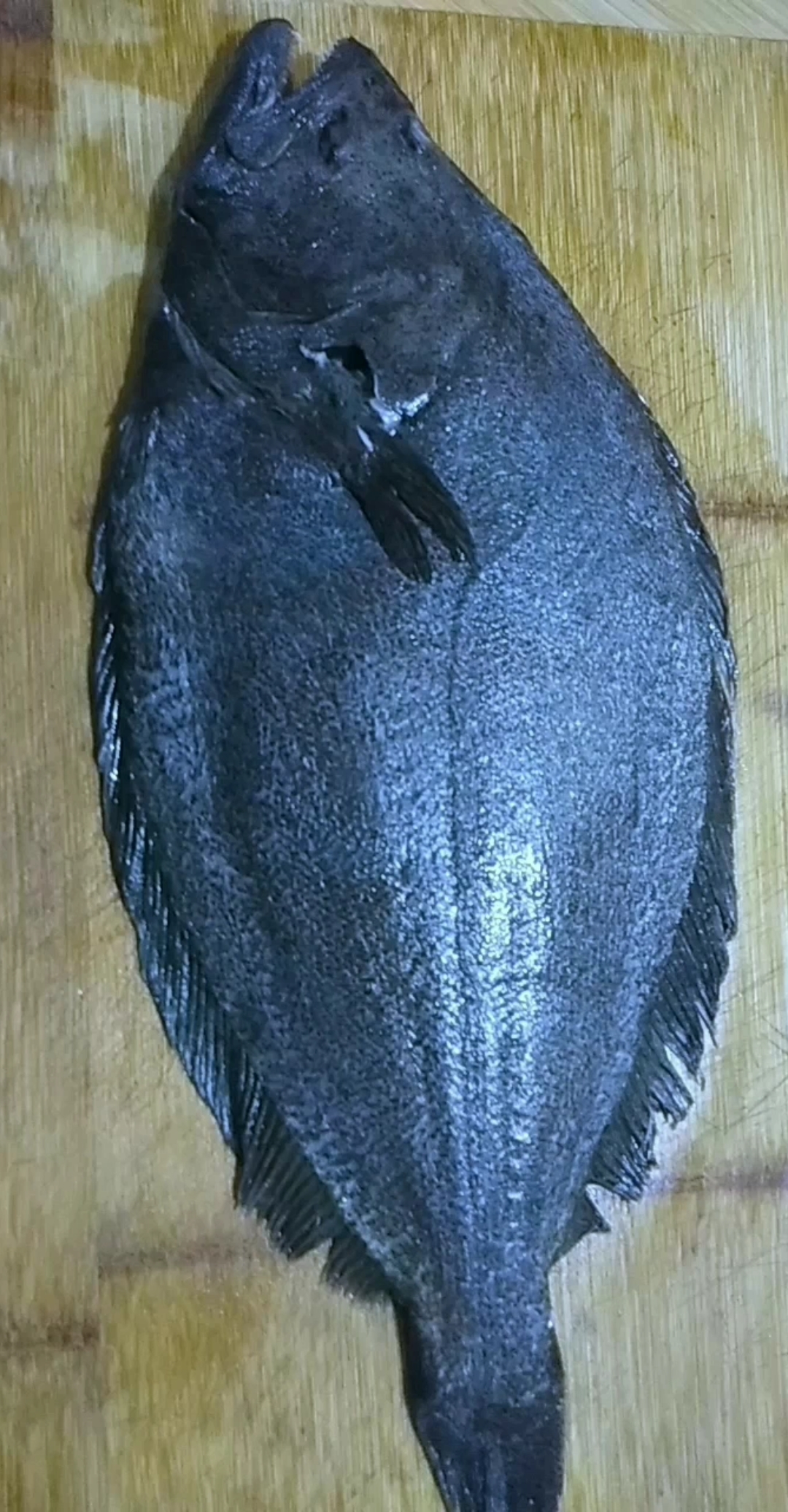 鸦片鱼怎样做好吃