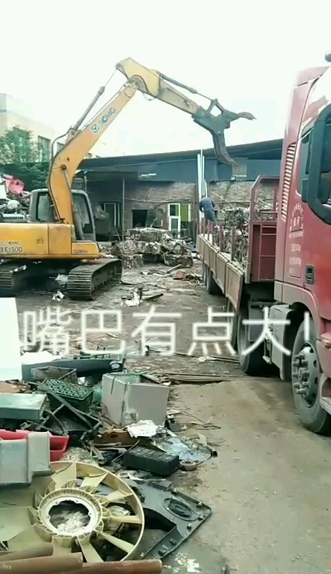 鳄鱼嘴巴有点大!