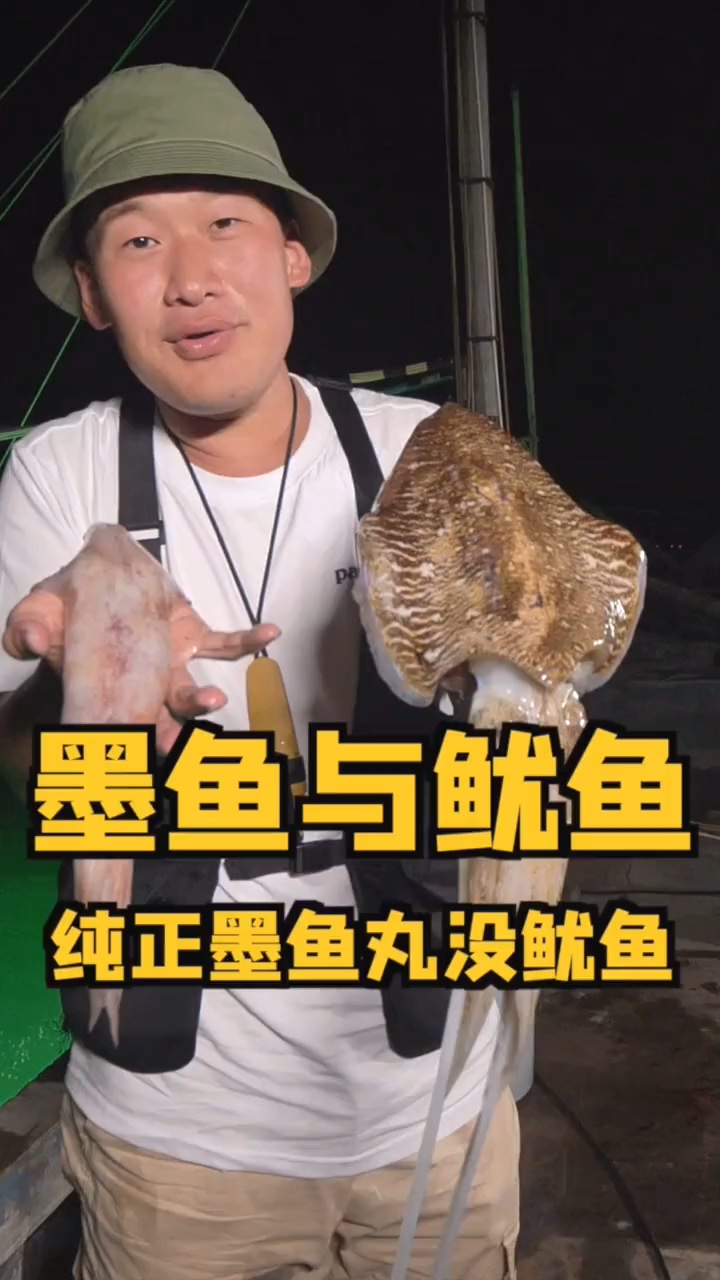 #美食#配料表里有鱿鱼的墨鱼丸,不能算正宗墨鱼丸