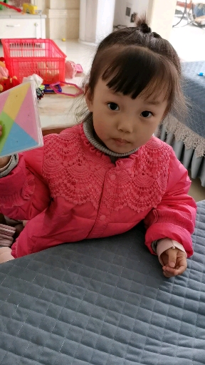大家好!初次见面觉得我可爱吗?瞧我拼的七巧板