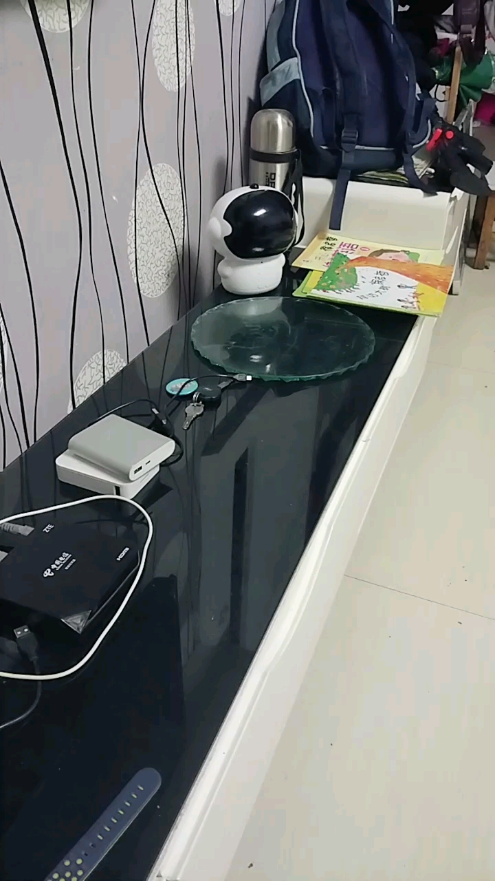 会说话的汤姆猫