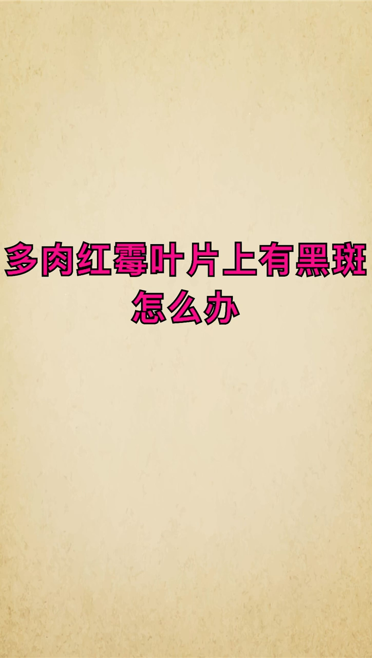 我来告诉你多肉红梅叶片上有黑斑怎么办?