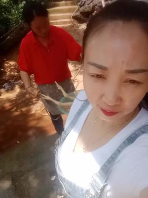 我来了姐姐忙着杀鸡杀鸭的给我吃:哈哈:还是姐姐好;姐姐我爱你