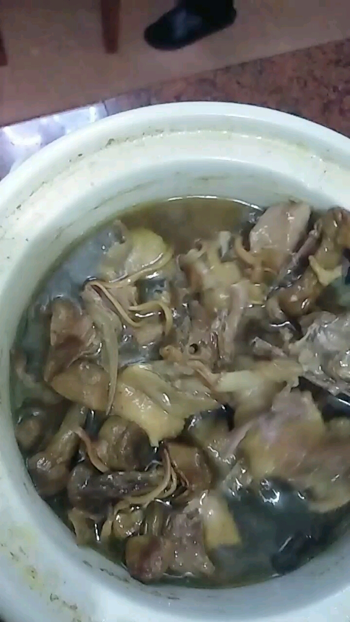 冬虫夏草炖老母鸭 