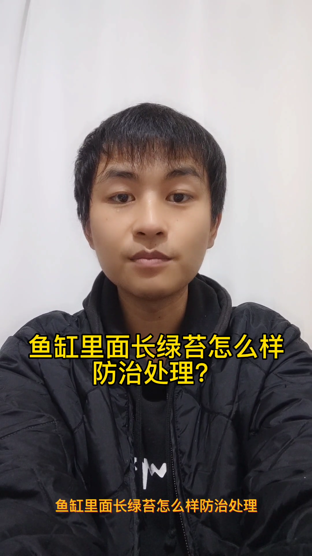 鱼缸里面长绿苔怎么样防治处理?
