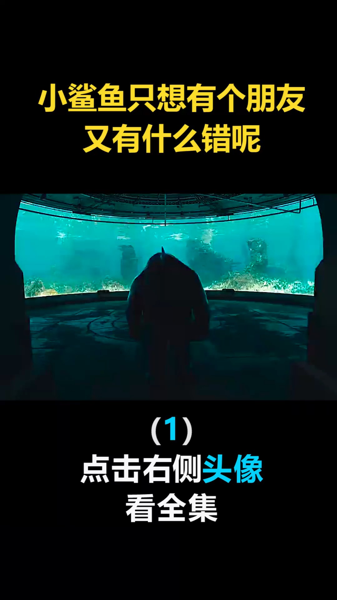 #我要上热门#小鲨鱼只想有个朋友,又有什么错呢(1)
