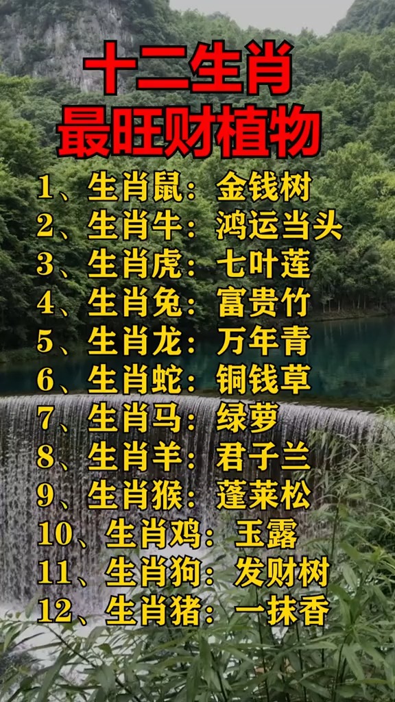 _看看自己对应哪种植物#