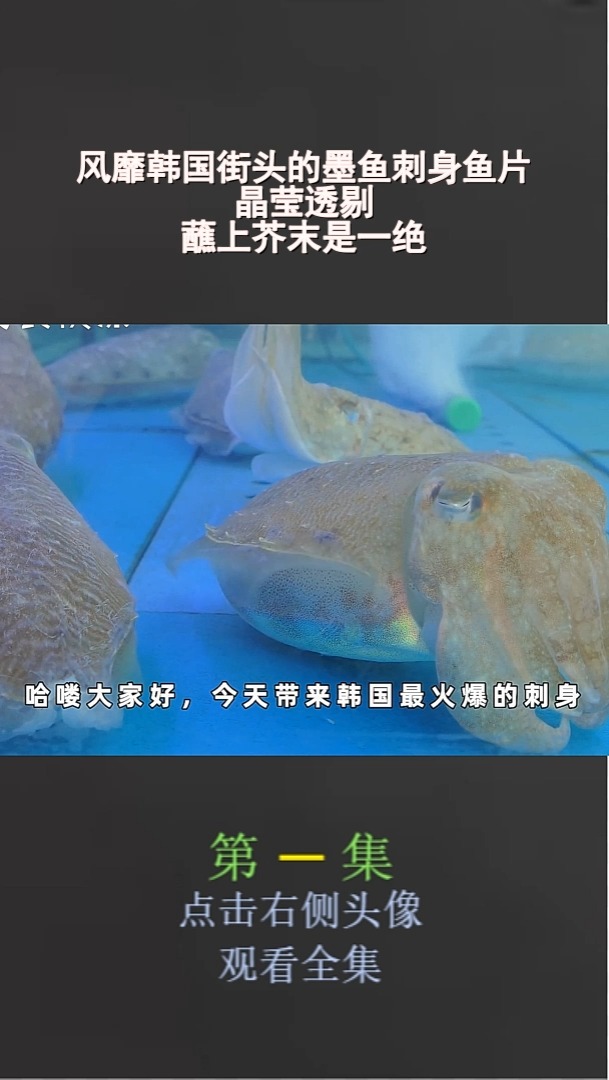 风靡韩国街头的墨鱼刺身鱼片晶莹透剔,蘸上芥末是一绝(1)