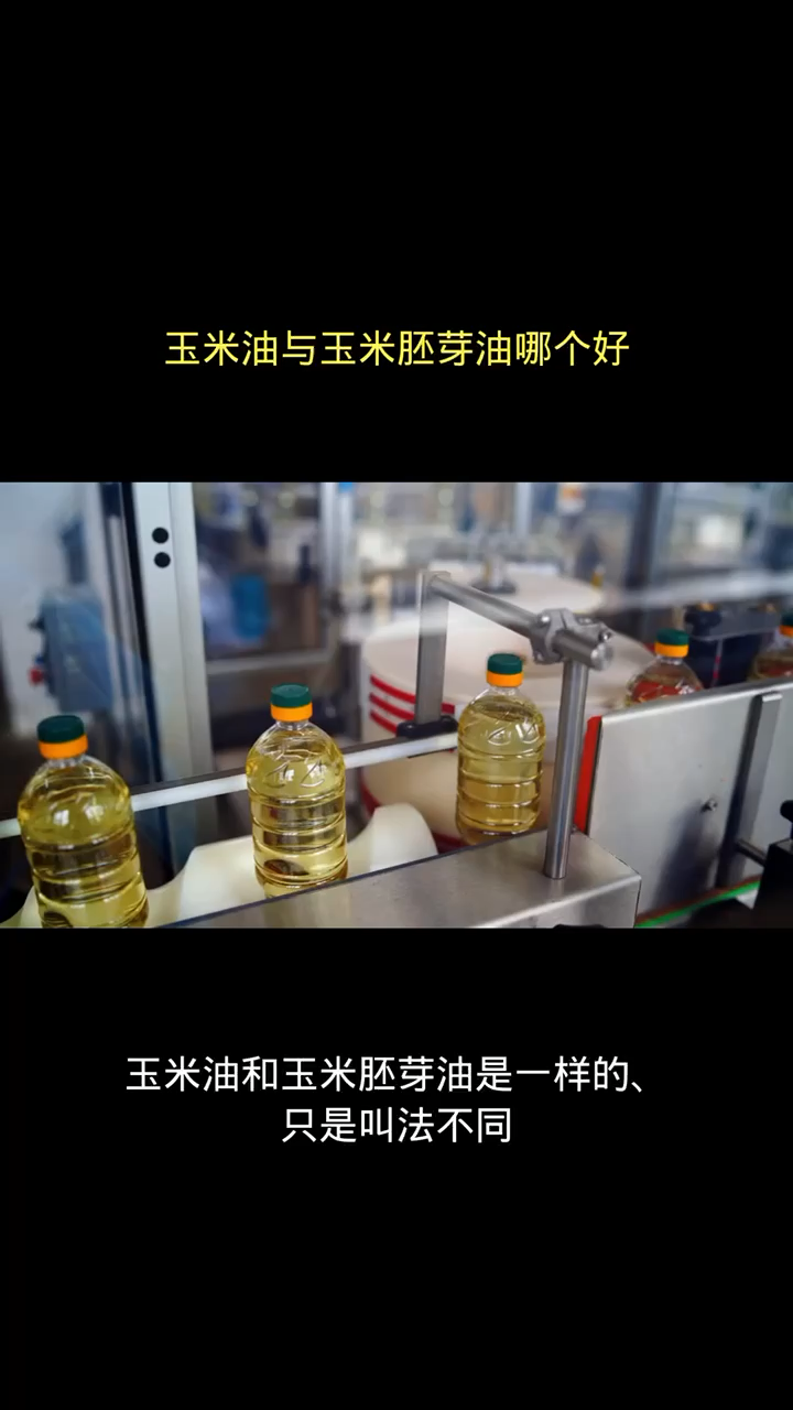 玉米油与玉米胚芽油哪个好