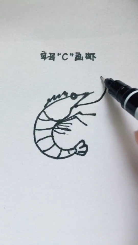 C画小虾