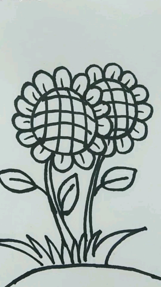 #简笔画#向日葵,我们一起画一画