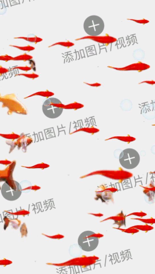 红红火火,年年有鱼