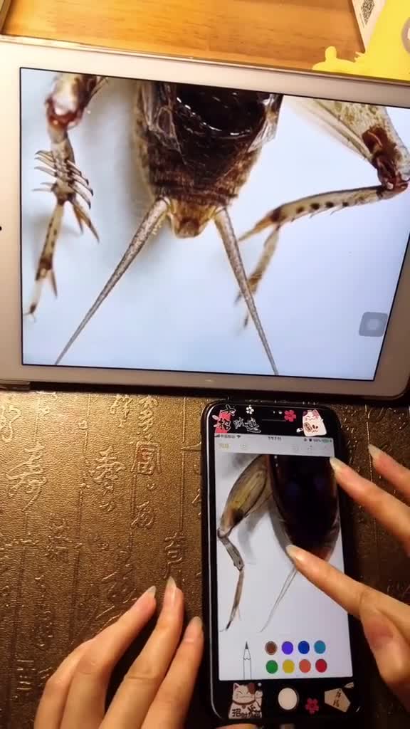 发个幕后,给好奇用苹果备忘录手绘的你们。这次不画吃的了~苹果系统千万不要更新哦～指绘手绘