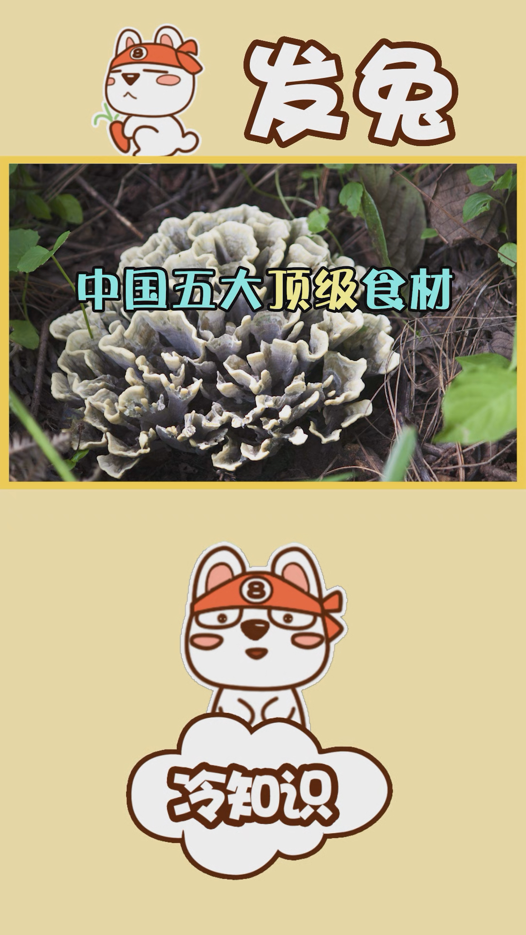 萝卜是顶级食材?黄油蟹榜上有名,这几种食材你吃过吗?