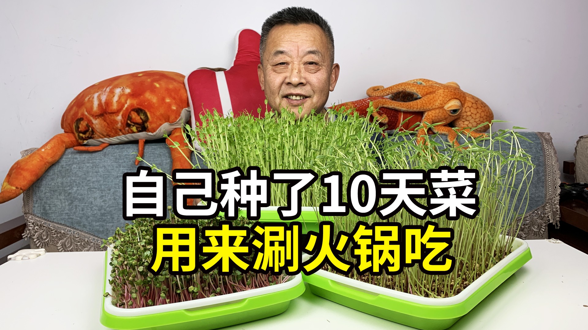 #万物皆可涮#为了吃一口新鲜蔬菜，大爷花了10天自己种