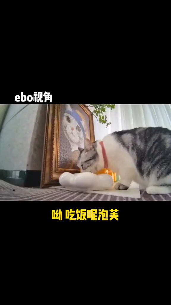 少少又去公司找泡芙啦王泡芙