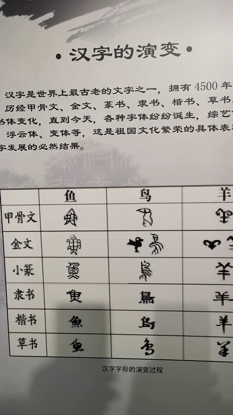 #带上全民去旅行#带上全民看看汉字的演变过程:甲骨文→金文→小篆→隶书→楷书→草书,你掌握
