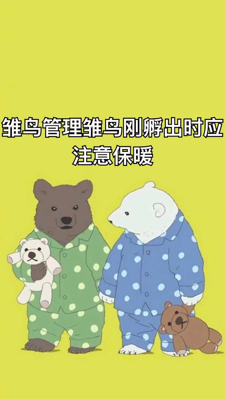 斑鸠幼鸟怎么喂养