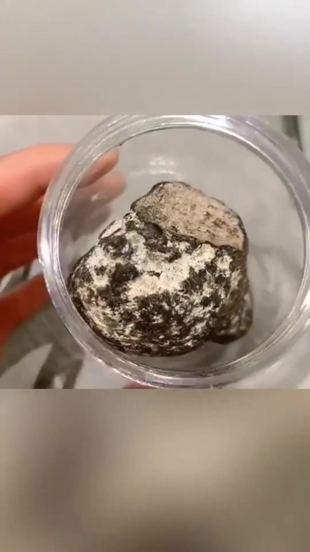 #搞笑段子#世界上最贵的粪便,5斤能卖500万,顶级香水离不开它!