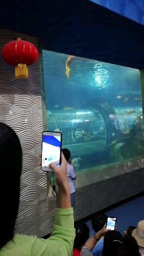 秦皇岛新澳海底世界美人鱼表演