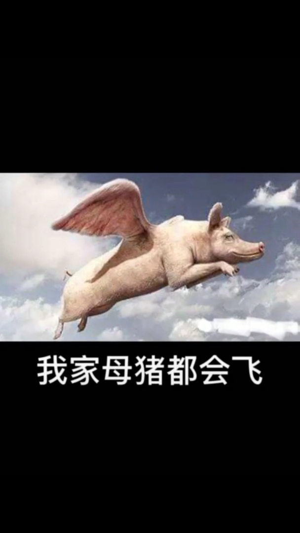 #搞笑段子剧#不是跟你吹,我家母猪都会飞~#表情#表情包#搞笑