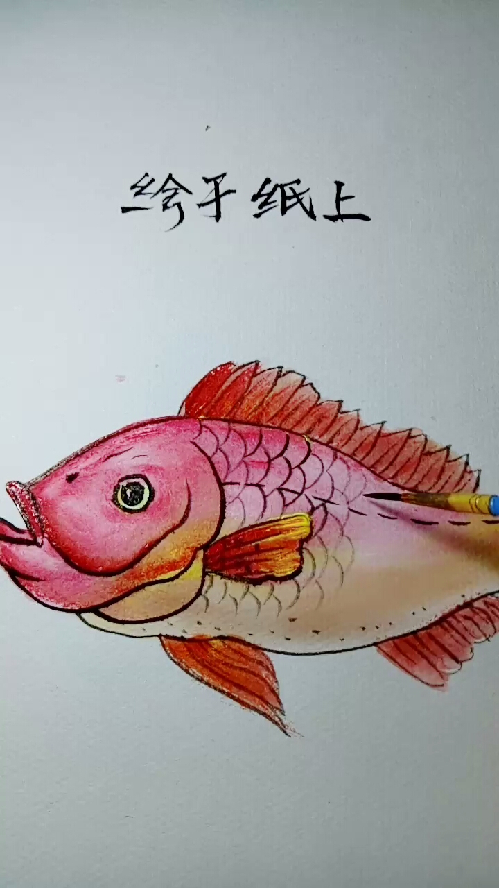 拿毛笔,和我一起快乐画鱼吧。