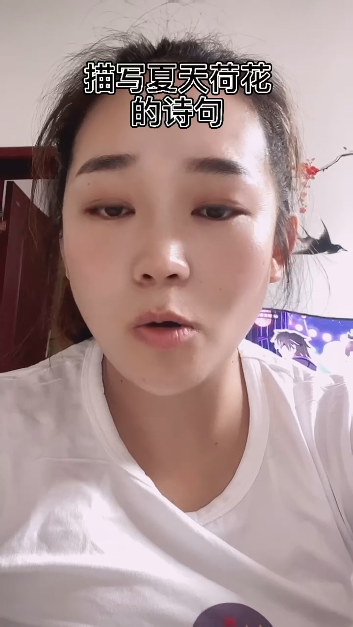 描写夏天荷花的诗句。