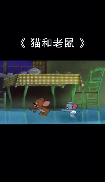 #猫和老鼠#动画推荐 猫和老鼠