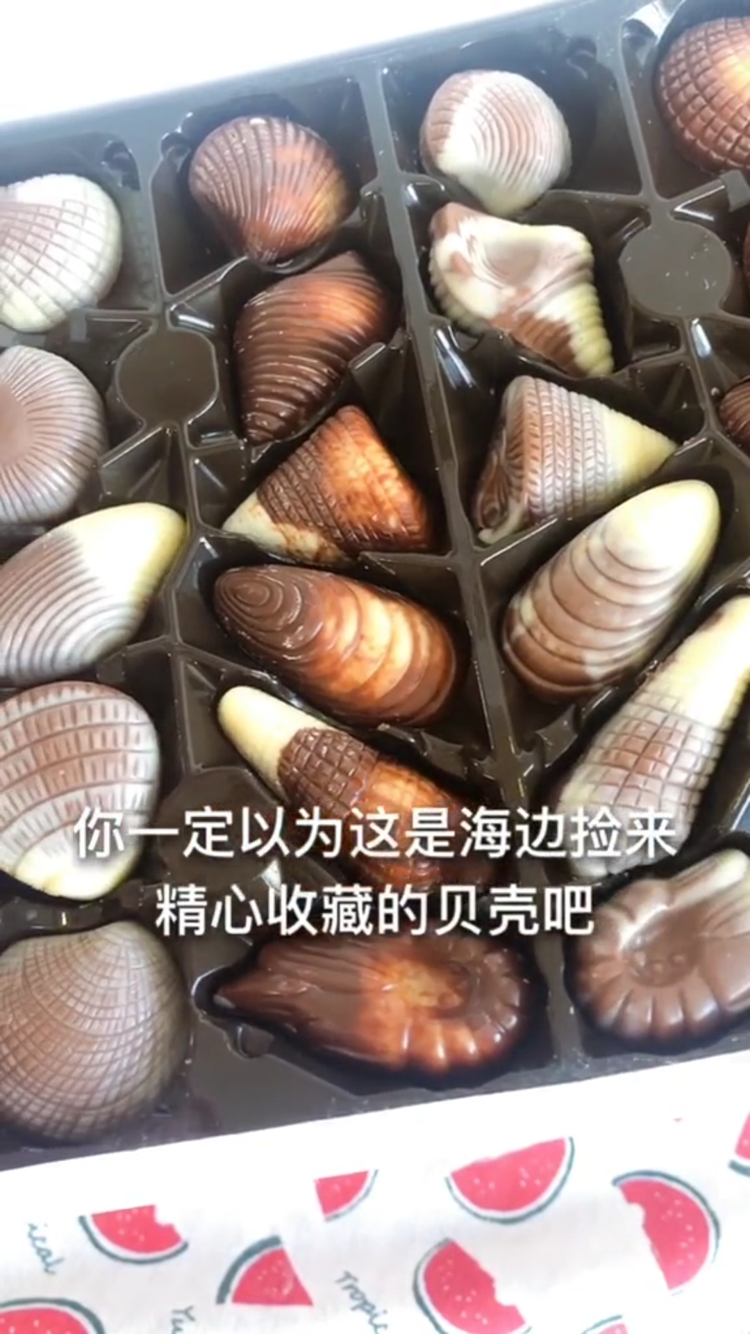 贝壳也可以吃呀