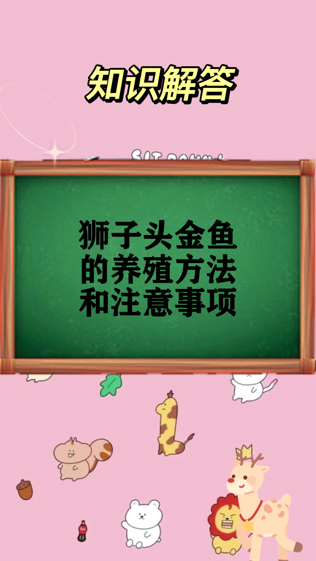 狮子头金鱼的养殖方法和注意事项