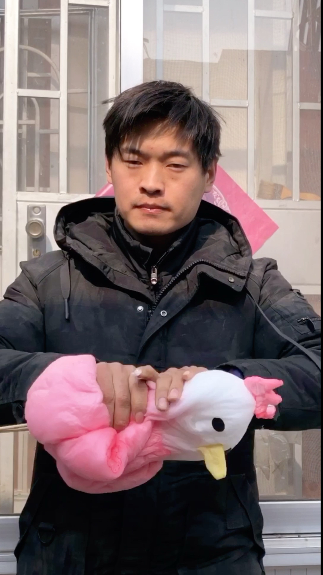 #宅在家十四天挑战#母鸡