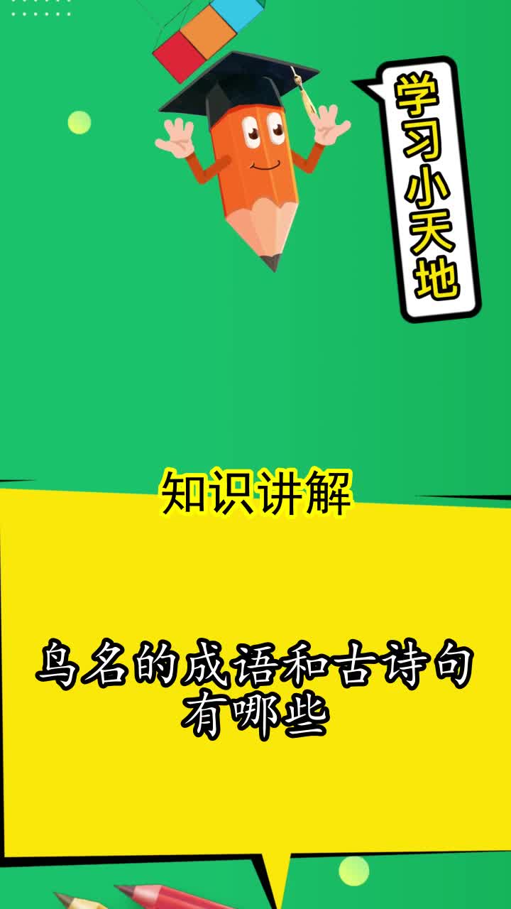 鸟名的成语和古诗句有哪些,你看懂了吗