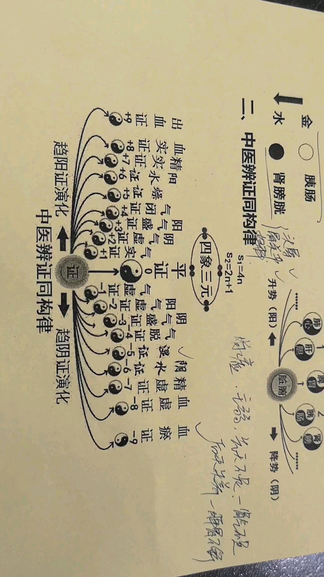 中医大夫的处方。