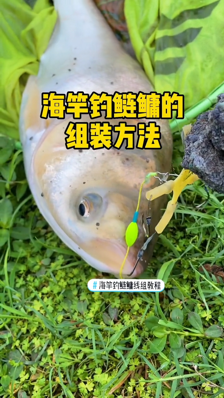 海竿怎么安装鱼漂和鱼钩
