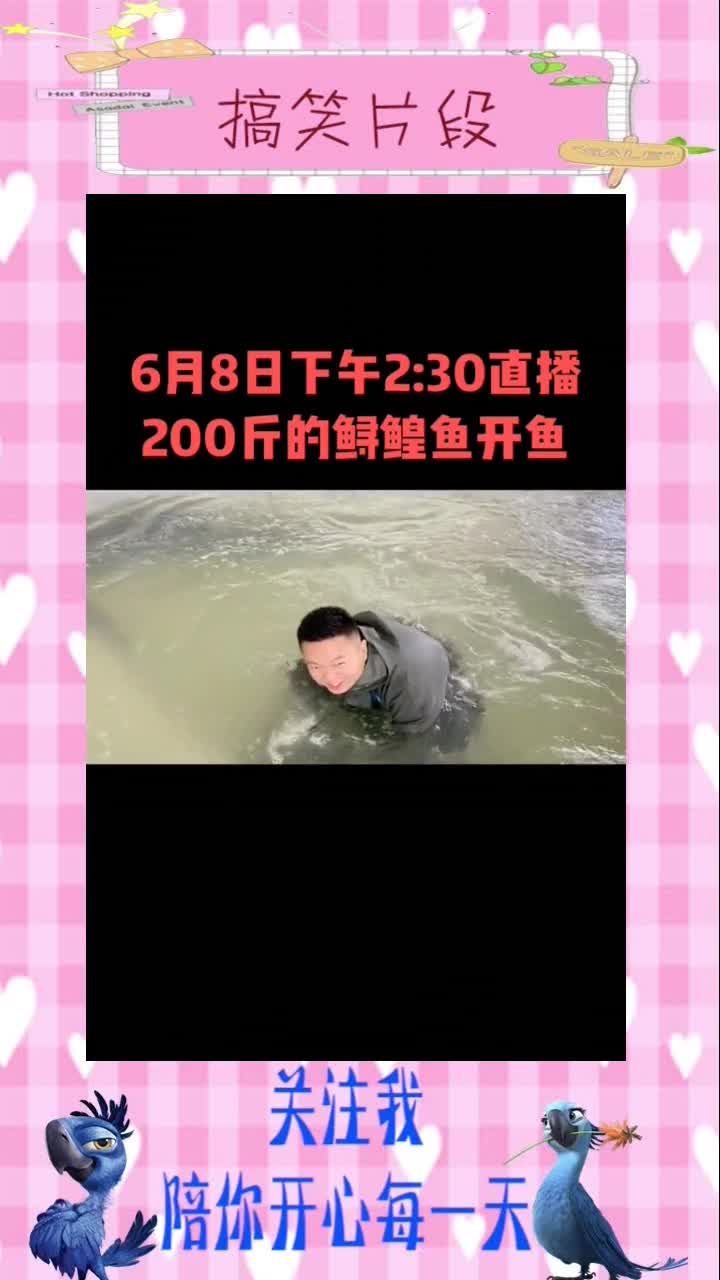 月日下午两点半斤鲟鳇鱼开鱼。测评顶级鱼子酱。记得来围观。,搞笑视频