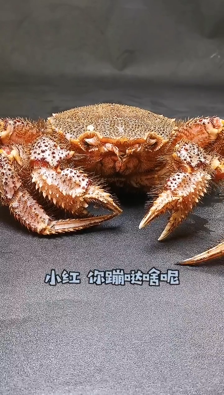 美国红鱼怎么做好吃?