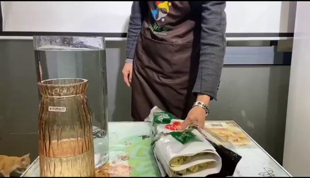 玫瑰怎么养?我教你……#玫瑰怎么养 #