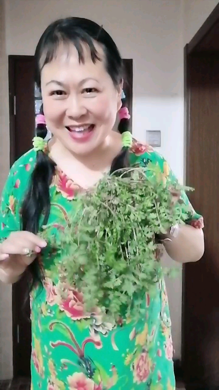 野菜～老聒(发“锅”音)筋,舒筋活血,做菜团子或包子好吃!这是我最喜欢吃的野菜!