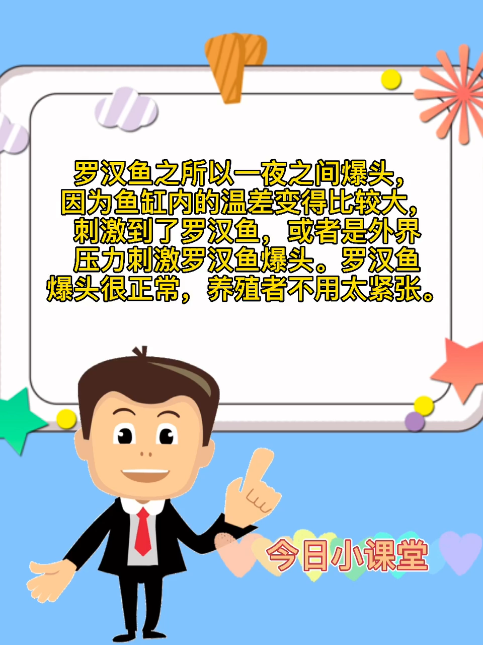 罗汉鱼一夜爆头的原因