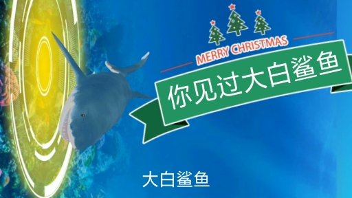 #夏日旅行目的地#你想去看大白鲨吗?