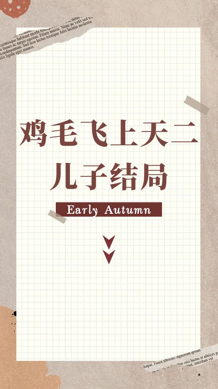 鸡毛飞上天二儿子结局