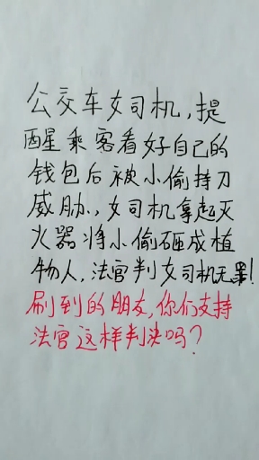 女司机