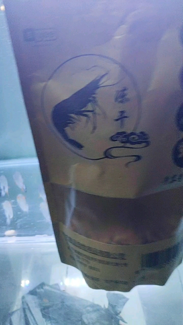 #万圣来袭#猜猜水虎鱼吃什么东西的